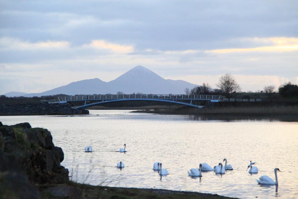 Doogarry House B&B Castlebar Eksteriør billede